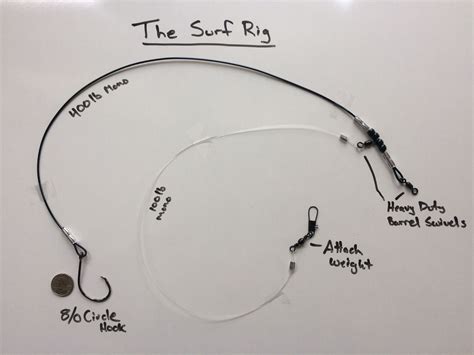 Bluefish Rigs For Surf Fishing MONSTER Bluefish, Use THIS Bait, Rig