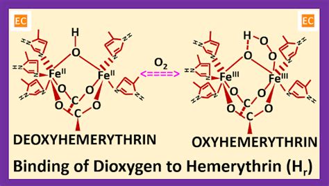 ELEMENTAL CHEMISTRY: Hemerythrin