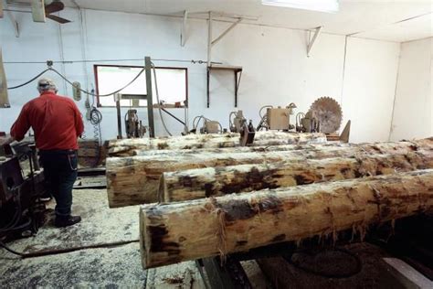 Image result for Timber Value