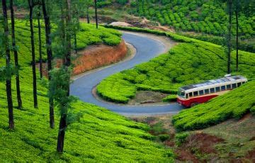 Best 3 Days 2 Nights Munnar with Cochin Trip Package | Munnar, Cochin ...