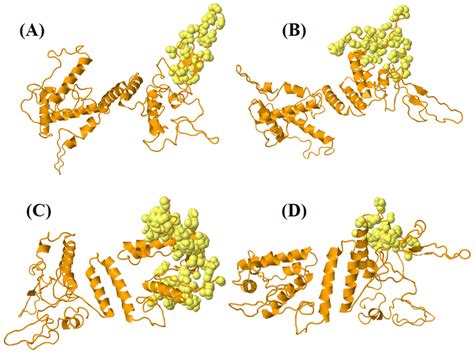 Subtractive Proteomics and Reverse-Vaccinology Approaches for Novel ...