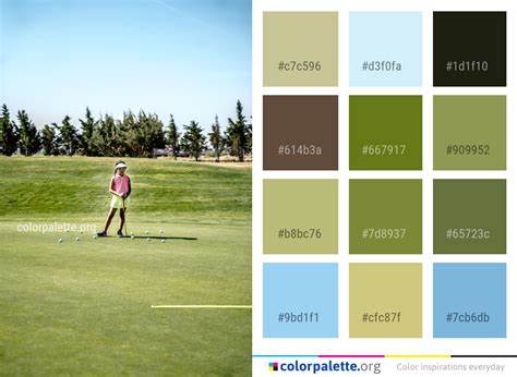 Image result for Golf Course Colorant Application