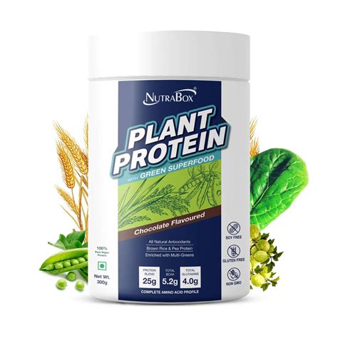 NutraBox 100% Vegan Plant Based Protein Powder with green superfoods ...