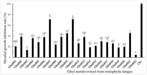 Culturable Endophytic Fungi from Glycyrrhiza inflata Distributed in ...