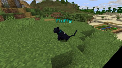 Image result for Cat Minecraft Mods