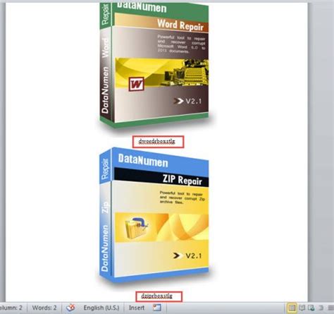 Batch Insert Image in Word 的图像结果