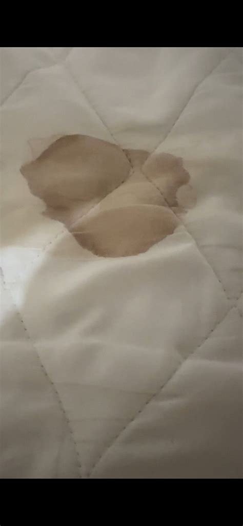 HOTEL MARCELINA (Zamboanga City) - Hotel Reviews, Photos, Rate ...