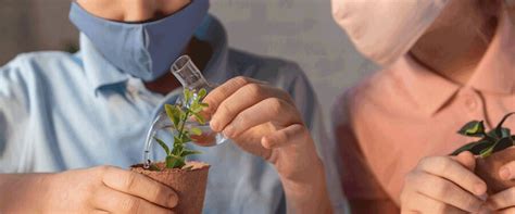 EPA Eliminates Children's Health Roles Amid Rollback of Equity Programs