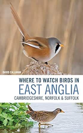Where to Watch Birds in East Anglia: Cambridgeshire, Norfolk and ...