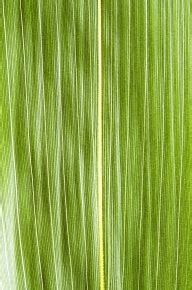 Image result for Number Pattern Explained