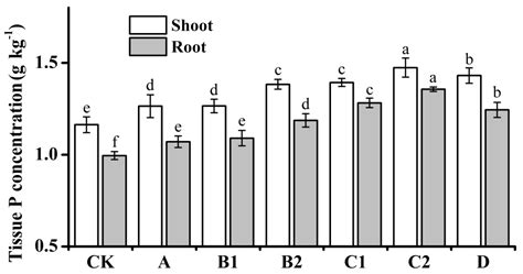 The Enzyme Activity of Dual-Domain β-Propeller Alkaline Phytase as a ...