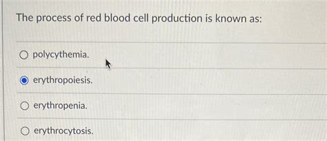 Image result for Explain Red Cell Production