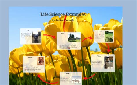 Image result for Life Science Examples