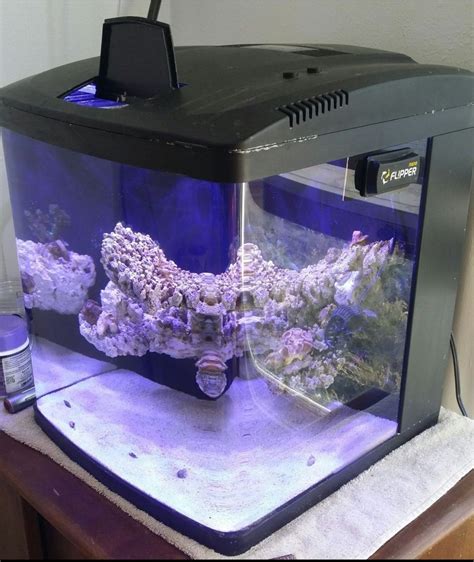 Image result for Biocube Maintenance Tips