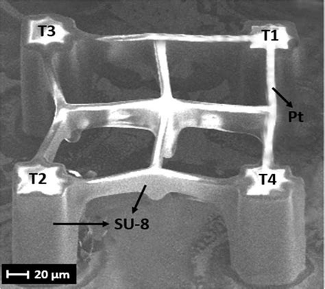 Prof. Satinder Kumar Sharma