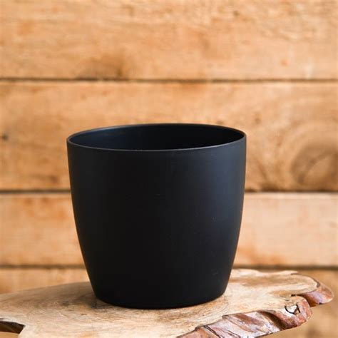 Buy Black Color Planters online from Nurserylive at lowest price.