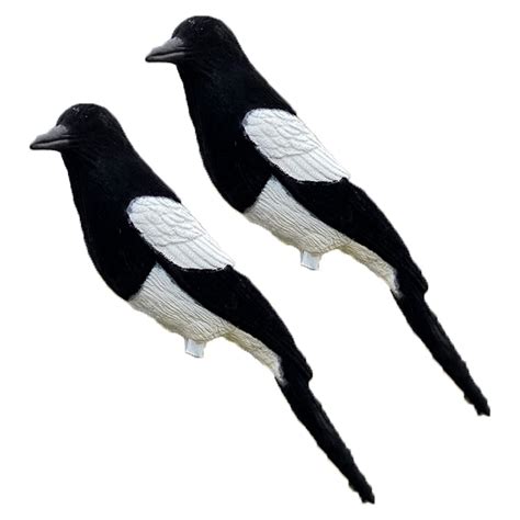 Buy 2 x Ultra Realistic Flocked Magpie Decoy Larsen Trap Bird Decoying ...