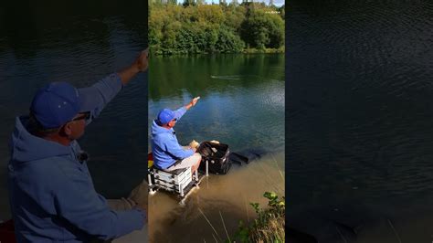 Image result for Line Feathering