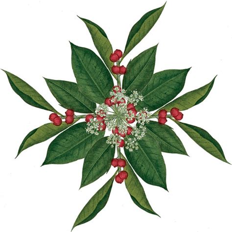 Green 的图像结果