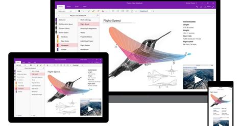 Image result for OneNote 2019 Desktop