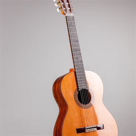 Image result for 12 String Instruments