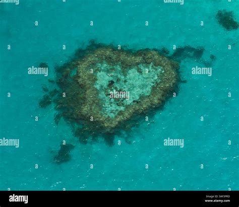 Heart Reef: A Heart-Shaped Wonder in Australia's Great Barrier Reef Stock Photo - Alamy