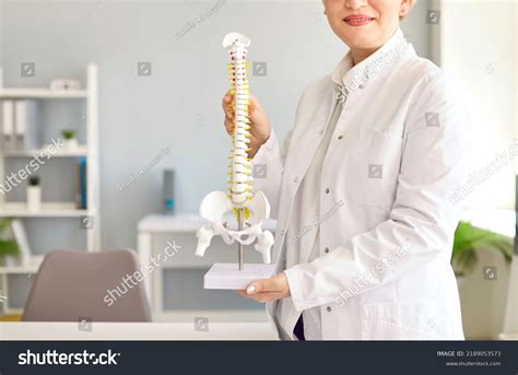 Doctor Orthopedic Clinic Showing Anatomical Spine Stock Photo 2189053573 | Shutterstock