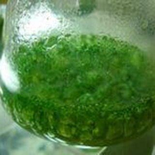 Biofertilizers 的图像结果