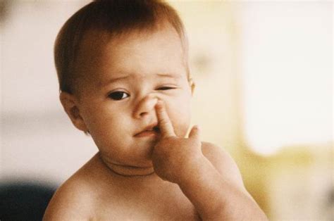 新爸爸竟用钳子帮宝宝挖鼻屎，婴儿鼻塞要分清是感冒还是鼻屎|棉花|鼻塞|鼻屎_新浪新闻