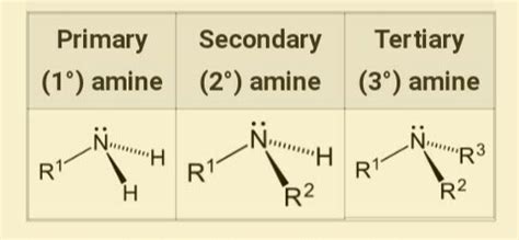 general formula of amine - Brainly.in