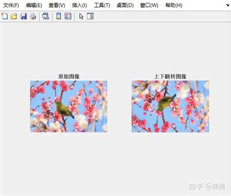 How to Swap Colours of a Picture Using MATLAB 的图像结果