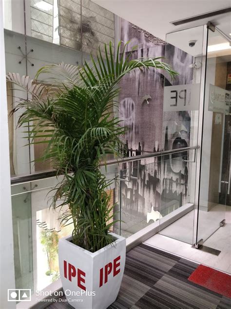 IPE Global Office Photos | Glassdoor