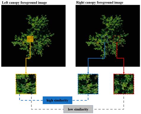 A UAV-Based Single-Lens Stereoscopic Photography Method for Phenotyping ...