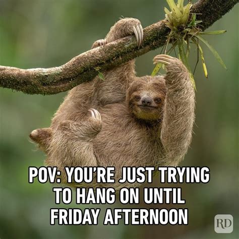 Funny Friday Pictures With Captions