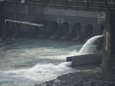Delhi: Man Swept Away While Working on Drain Project Found Dead - The Wire