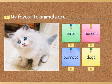 Image result for Cat Command in Shell Script