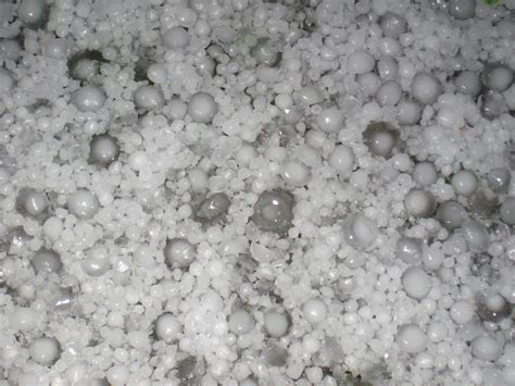 Hail | International Cloud Atlas