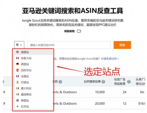 亚马逊关键词反查_亚马逊反查关键词工具-Jungle Scout中国官网