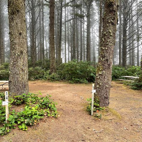 Bastendorff Beach Park Camping | Coos Bay, Oregon