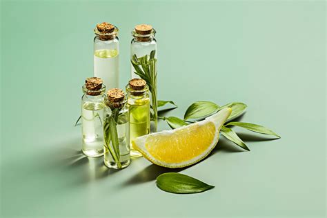Benefits of Lemon Eucalyptus Oil – The Better Home