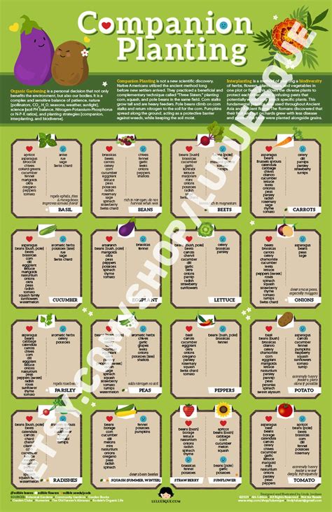 Companion Planting Chart For Okra at Erica Gilman blog