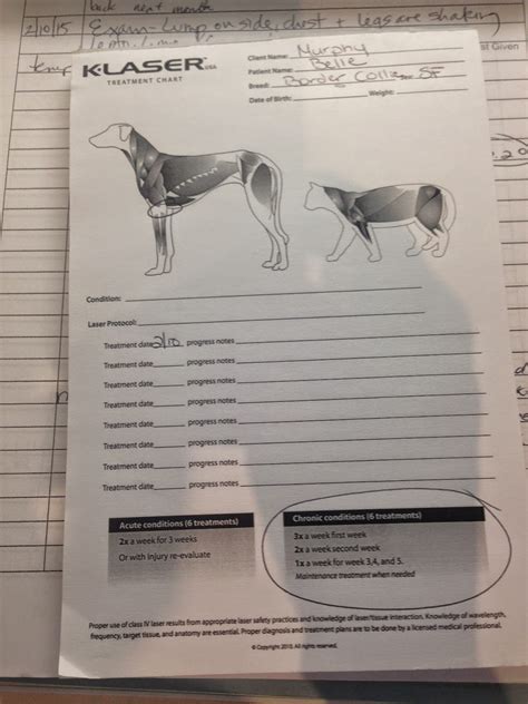 Diary of a Real-Life Veterinarian: Decubitus Ulcer, Pressure Sores/Bed ...