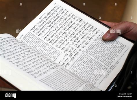 Image result for Torah Reading Tutorial