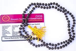 Apnisanskriti Black Rudraksha Mala (4 mm, Rarest Size, Neck Length,108 ...