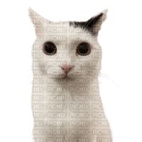 Image result for Bio Data Example Basic