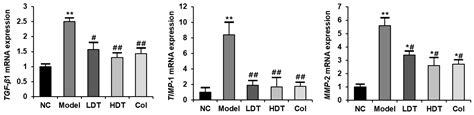 Protective Effects and Mechanisms of Taxus cuspidata Seed Oil on CCl4 ...