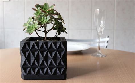 Tips for Creating a Weekly Watering Plan for Your Indoor Plants | homify