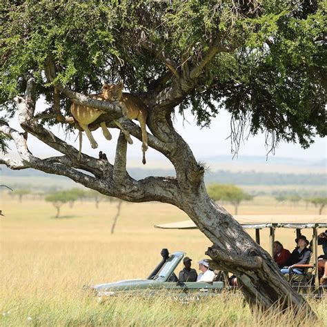 ILOVEAFRICA.TRAVEL (2025) All You Need to Know BEFORE You Go (with ...