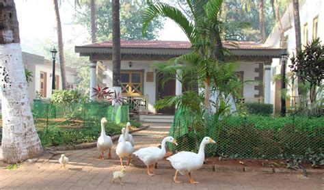 Golden Swan Beach Resort | Picture Gallery