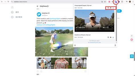 OnlyFans 影片下載神器：最好用的瀏覽器擴充功能推薦！ - SnapAny